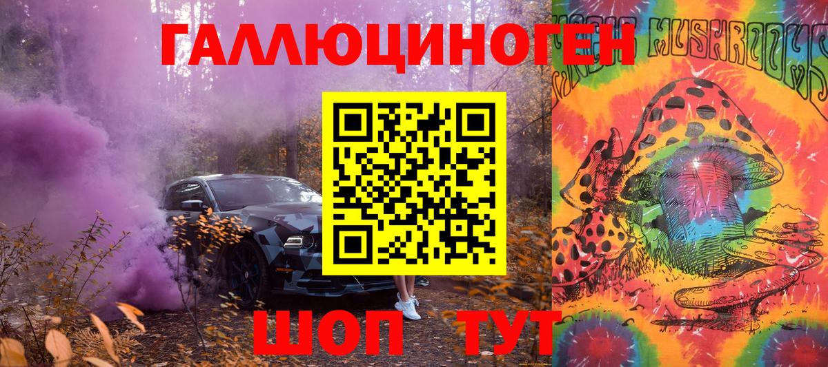Псилоцибиновые грибы Psilocybe Азов
