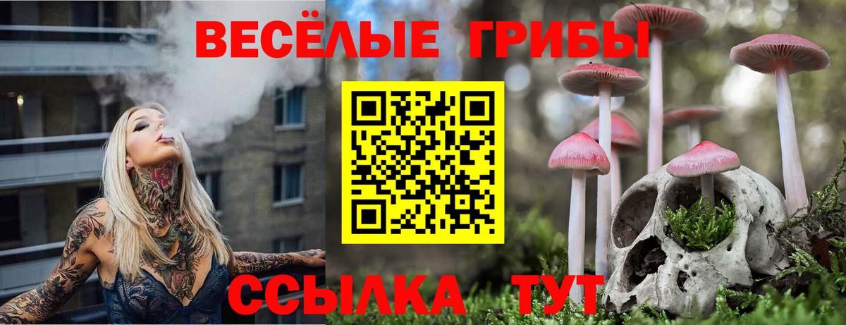 Азов  Галлюциногенные грибы Psilocybine cubensis  Вход с VPN  Галлюциногенные грибы GOLDEN TEACHER 